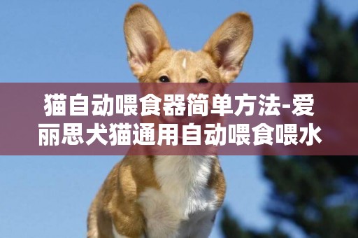 貓自動喂食器簡單方法-愛麗思犬貓通用自動喂食喂水器