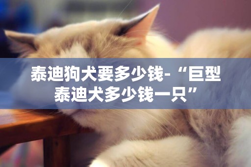 泰迪狗犬要多少錢-“巨型泰迪犬多少錢一只”