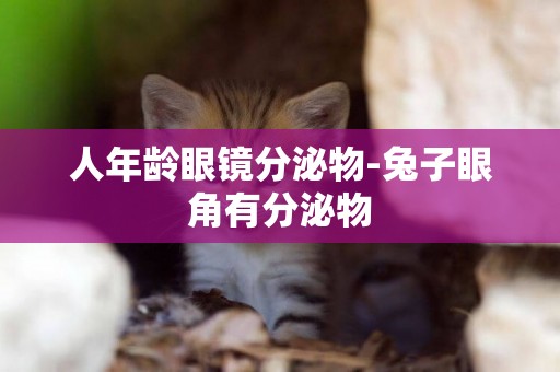 人年齡眼鏡分泌物-兔子眼角有分泌物