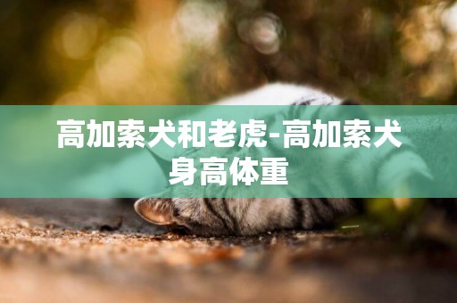 高加索犬和老虎-高加索犬身高體重