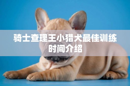 騎士查理王小獵犬最佳訓練時間介紹