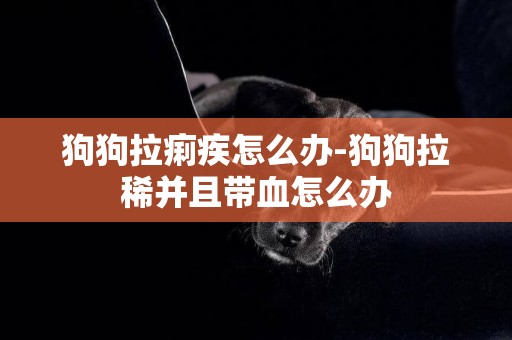 狗狗拉痢疾怎么辦-狗狗拉稀并且帶血怎么辦