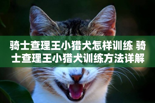 騎士查理王小獵犬怎樣訓練 騎士查理王小獵犬訓練方法詳解