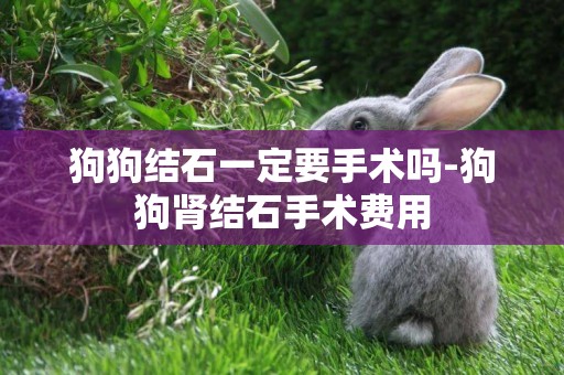 狗狗結石一定要手術嗎-狗狗腎結石手術費用