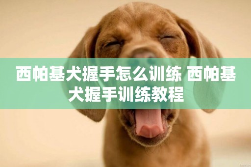 西帕基犬握手怎么訓練 西帕基犬握手訓練教程