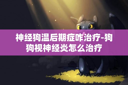 神經狗溫后期癥咋治療-狗狗視神經炎怎么治療