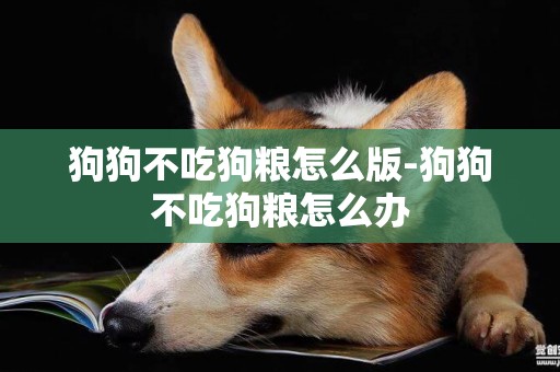 狗狗不吃狗糧怎么版-狗狗不吃狗糧怎么辦