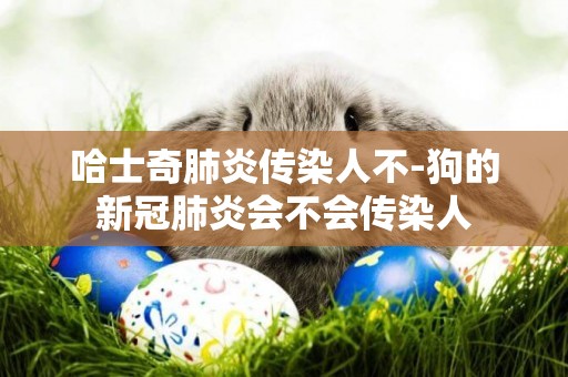 哈士奇肺炎傳染人不-狗的新冠肺炎會不會傳染人