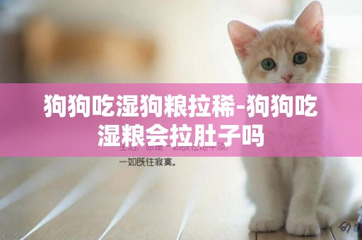 狗狗吃濕狗糧拉稀-狗狗吃濕糧會拉肚子嗎