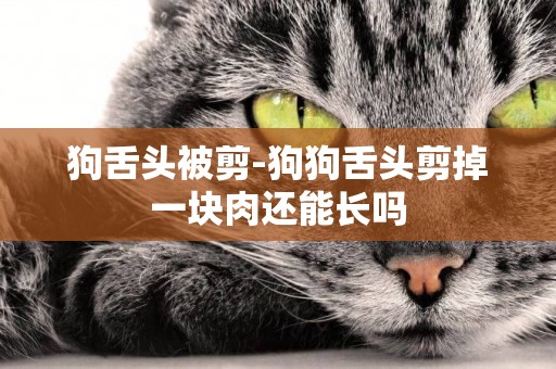 狗舌頭被剪-狗狗舌頭剪掉一塊肉還能長嗎