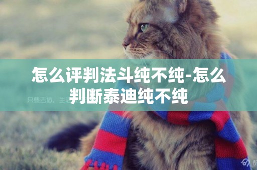 怎么評判法斗純不純-怎么判斷泰迪純不純