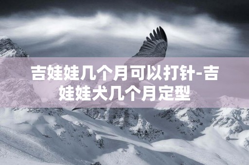吉娃娃幾個月可以打針-吉娃娃犬幾個月定型