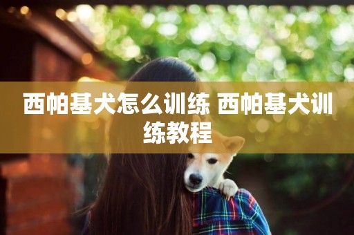 西帕基犬怎么訓練 西帕基犬訓練教程