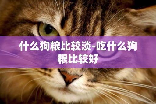 什么狗糧比較淡-吃什么狗糧比較好