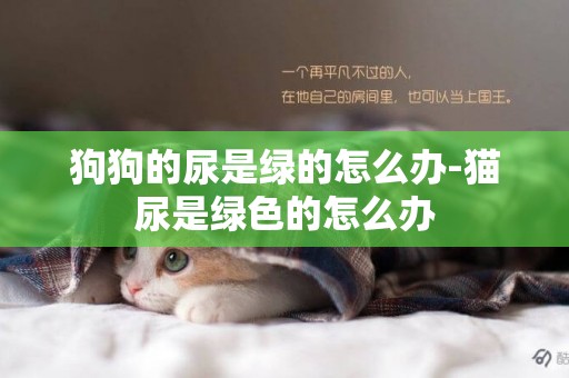 狗狗的尿是綠的怎么辦-貓尿是綠色的怎么辦