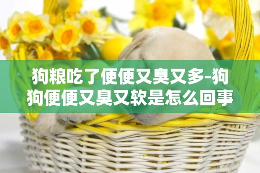 狗糧吃了便便又臭又多-狗狗便便又臭又軟是怎么回事