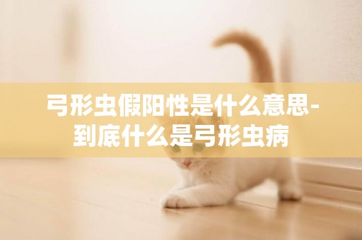 弓形蟲假陽性是什么意思-到底什么是弓形蟲病