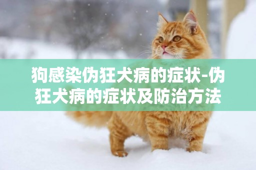 狗感染偽狂犬病的癥狀-偽狂犬病的癥狀及防治方法
