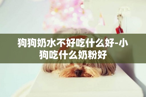 狗狗奶水不好吃什么好-小狗吃什么奶粉好