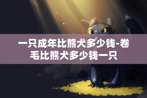 一只成年比熊犬多少錢-卷毛比熊犬多少錢一只
