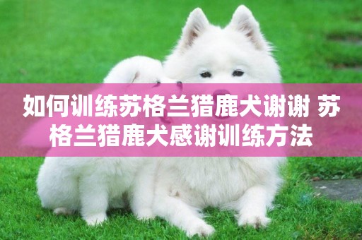 如何訓練蘇格蘭獵鹿犬謝謝 蘇格蘭獵鹿犬感謝訓練方法