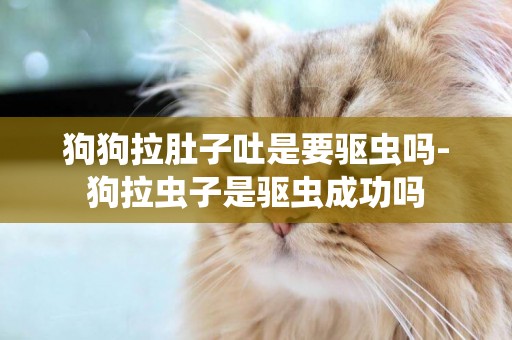 狗狗拉肚子吐是要驅蟲嗎-狗拉蟲子是驅蟲成功嗎