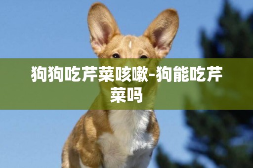 狗狗吃芹菜咳嗽-狗能吃芹菜嗎