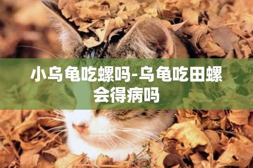 小烏龜吃螺嗎-烏龜吃田螺會得病嗎