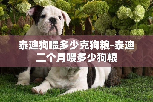 泰迪狗喂多少克狗糧-泰迪二個月喂多少狗糧