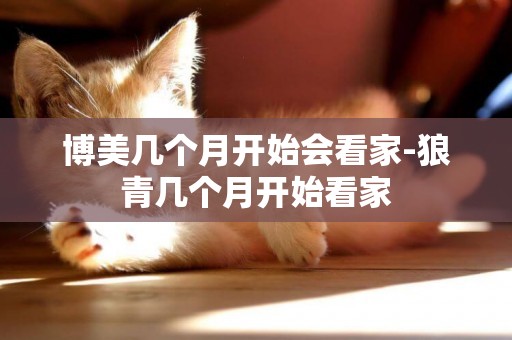 博美幾個月開始會看家-狼青幾個月開始看家