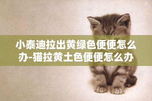 小泰迪拉出黃綠色便便怎么辦-貓拉黃土色便便怎么辦