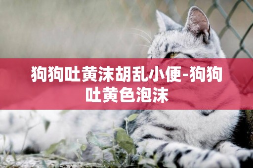 狗狗吐黃沫胡亂小便-狗狗吐黃色泡沫