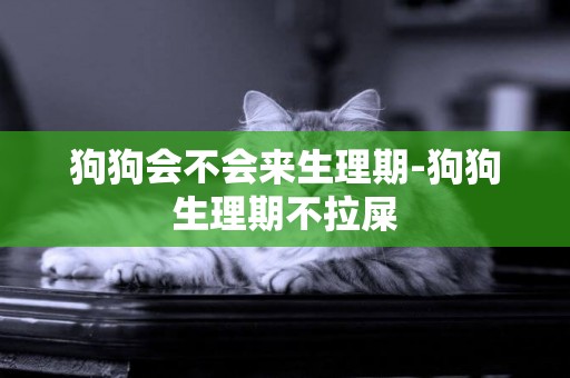 狗狗會不會來生理期-狗狗生理期不拉屎