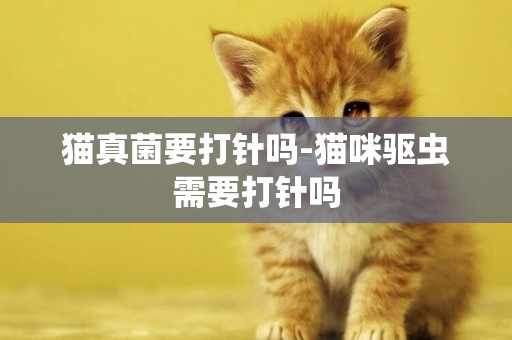 貓真菌要打針嗎-貓咪驅蟲需要打針嗎