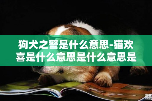 狗犬之警是什么意思-貓歡喜是什么意思是什么意思是什么意思