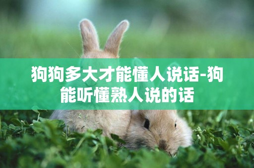 狗狗多大才能懂人說話-狗能聽懂熟人說的話