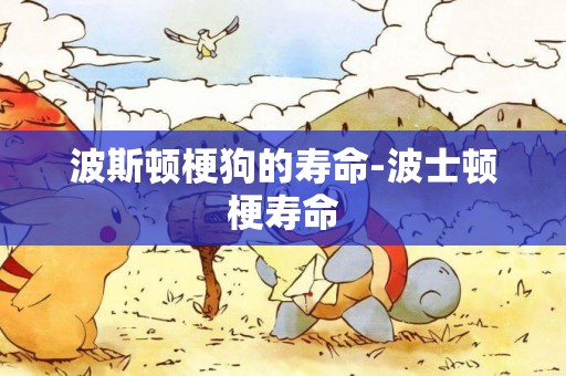 波斯頓梗狗的壽命-波士頓梗壽命