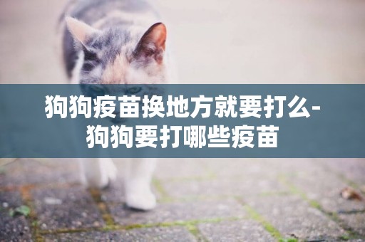 狗狗疫苗換地方就要打么-狗狗要打哪些疫苗