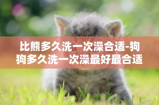 比熊多久洗一次澡合適-狗狗多久洗一次澡最好最合適