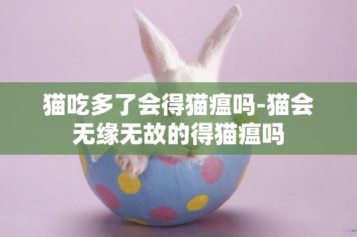 貓吃多了會得貓瘟嗎-貓會無緣無故的得貓瘟嗎