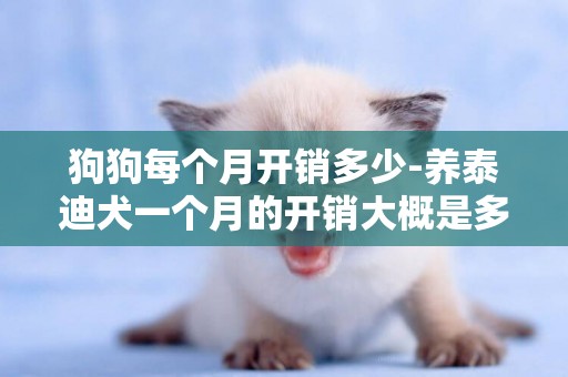 狗狗每個月開銷多少-養泰迪犬一個月的開銷大概是多少