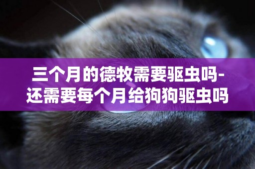 三個月的德牧需要驅蟲嗎-還需要每個月給狗狗驅蟲嗎