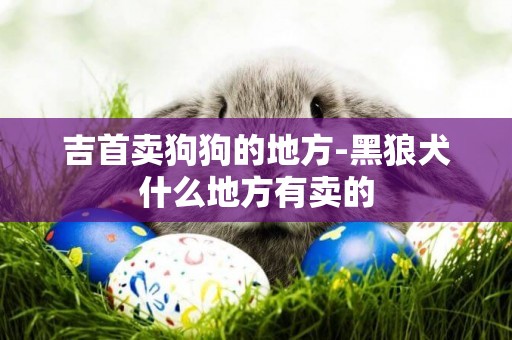 吉首賣狗狗的地方-黑狼犬什么地方有賣的