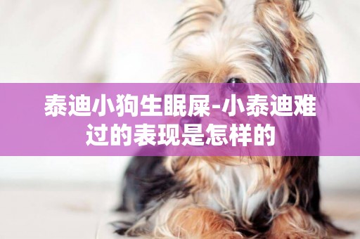 泰迪小狗生眠屎-小泰迪難過的表現是怎樣的