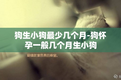 狗生小狗最少幾個月-狗懷孕一般幾個月生小狗