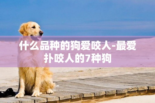 什么品種的狗愛咬人-最愛撲咬人的7種狗