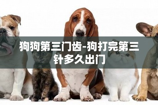 狗狗第三門齒-狗打完第三針多久出門
