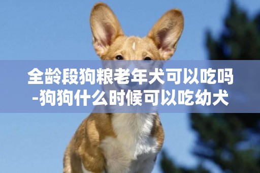全齡段狗糧老年犬可以吃嗎-狗狗什么時候可以吃幼犬糧、成犬糧、老年犬糧