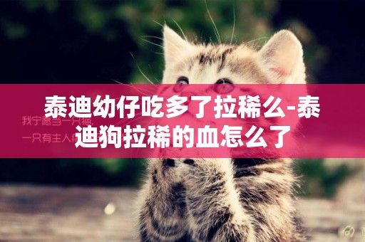 泰迪幼仔吃多了拉稀么-泰迪狗拉稀的血怎么了