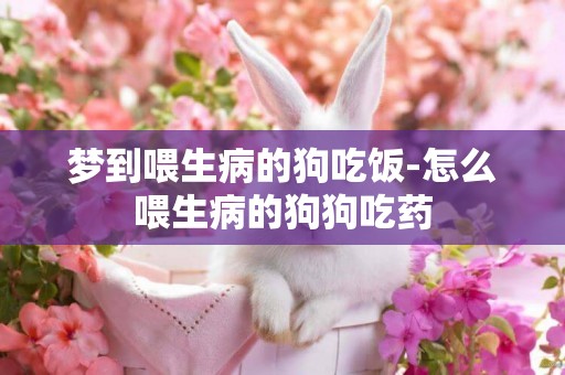 夢到喂生病的狗吃飯-怎么喂生病的狗狗吃藥